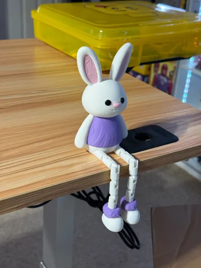 https://makerworld.bblmw.com/makerworld/comment/20260224/529165447/a93302f9746f7a80.jpg