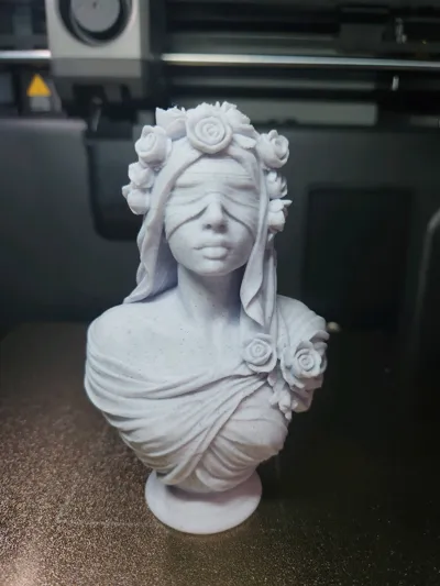 https://makerworld.bblmw.com/makerworld/comment/20260224/723186265/bd1915bc7ec62355.jpg