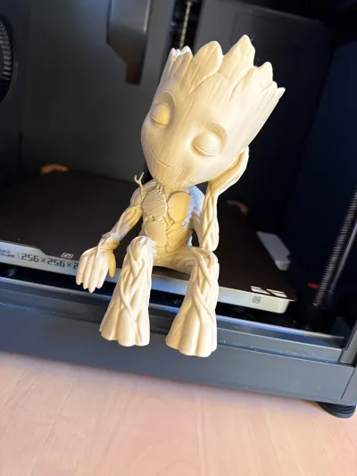 https://makerworld.bblmw.com/makerworld/comment/20260224/7712704/b20b276b538a1680.jpg