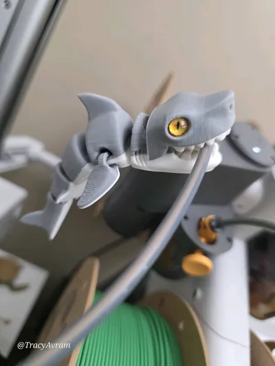 https://makerworld.bblmw.com/makerworld/comment/20260224/937451143/706286a3bd200faa.jpg