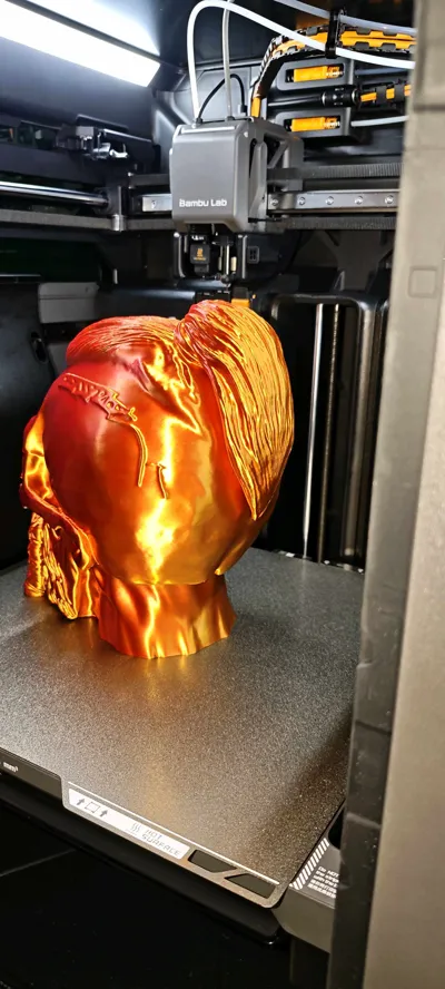 https://makerworld.bblmw.com/makerworld/comment/20260225/1266134351/463b81e828c4837d.jpg