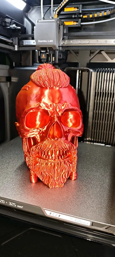https://makerworld.bblmw.com/makerworld/comment/20260225/1266134351/63349b83a00f25f1.jpg