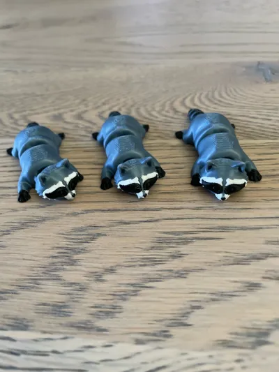 https://makerworld.bblmw.com/makerworld/comment/20260225/1405130110/25b677e3041a95ff.jpg