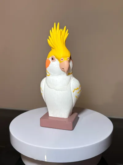 https://makerworld.bblmw.com/makerworld/comment/20260225/1504958962/890aabecb2c4b336.jpg