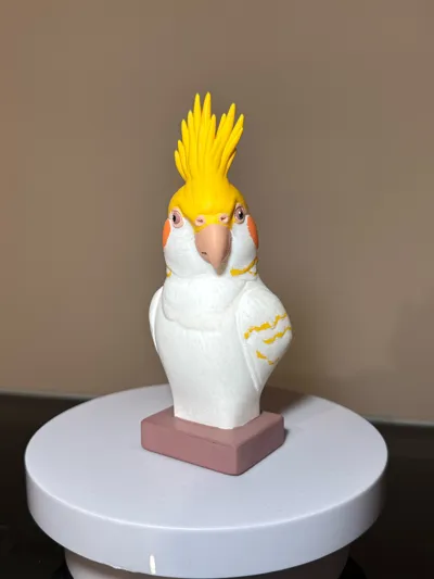 https://makerworld.bblmw.com/makerworld/comment/20260225/1504958962/9594219455689816.jpg