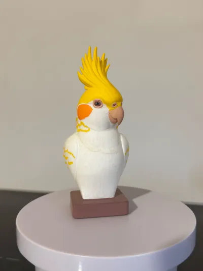 https://makerworld.bblmw.com/makerworld/comment/20260225/1504958962/e9ee628f3ec1c031.jpg
