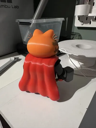 https://makerworld.bblmw.com/makerworld/comment/20260225/1714634781/99a4cd9fcaf4fc2b.jpeg
