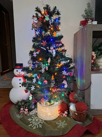 https://makerworld.bblmw.com/makerworld/comment/20260225/1968462121/6b62513f6befb386.jpg