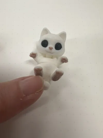 https://makerworld.bblmw.com/makerworld/comment/20260225/2107888615/a7724d42e929d879.jpg