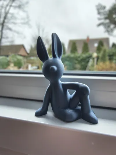 https://makerworld.bblmw.com/makerworld/comment/20260225/2147335982/d88ae0d4b4976a49.jpg