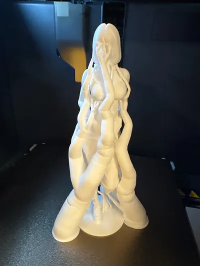 https://makerworld.bblmw.com/makerworld/comment/20260225/2173181066/eff034cf2afe051b.jpg