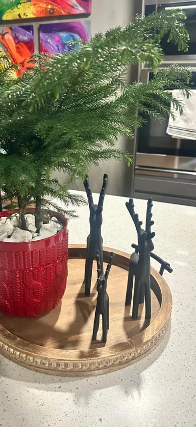 https://makerworld.bblmw.com/makerworld/comment/20260225/2279099540/e3c34895bd7120c7.jpg