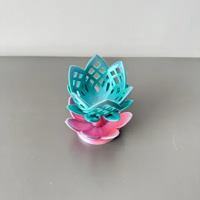 https://makerworld.bblmw.com/makerworld/comment/20260225/2498208650/a2de505d132e1ff9.jpeg