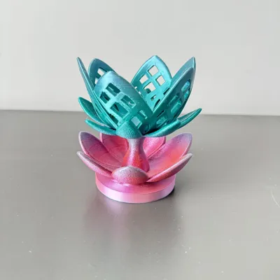 https://makerworld.bblmw.com/makerworld/comment/20260225/2498208650/b3068b6073c78d5c.jpeg