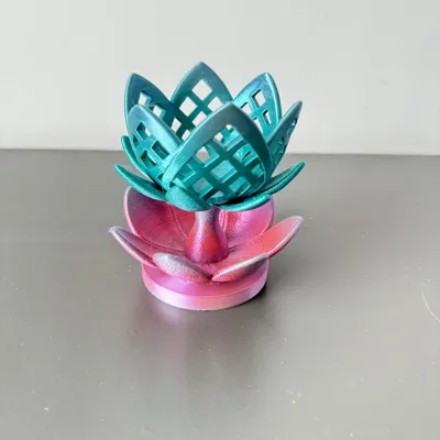 https://makerworld.bblmw.com/makerworld/comment/20260225/2498208650/d797081718d62902.jpeg