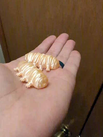 https://makerworld.bblmw.com/makerworld/comment/20260225/2626815627/51dafc2bdb1dd08d.jpg