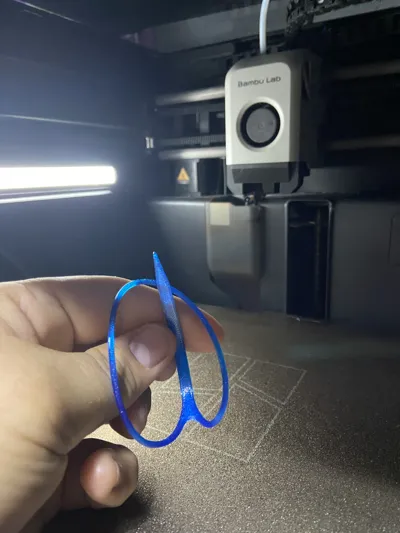 https://makerworld.bblmw.com/makerworld/comment/20260225/2748799026/4037f6ad03abc07e.jpeg