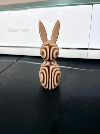 https://makerworld.bblmw.com/makerworld/comment/20260225/2904375224/ddadb9357458cb6b.jpg