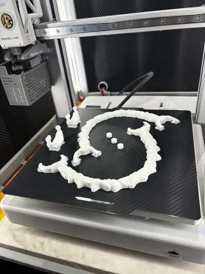 https://makerworld.bblmw.com/makerworld/comment/20260225/2918967352/f57d897dcc825465.jpg