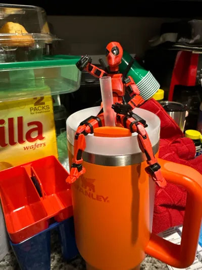 https://makerworld.bblmw.com/makerworld/comment/20260225/3032440285/06b99a0de938b234.jpg