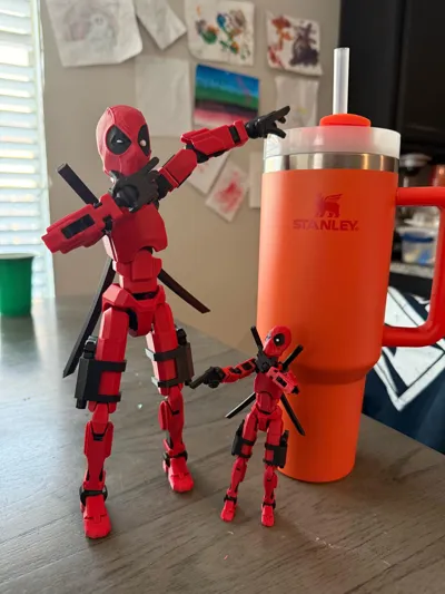 https://makerworld.bblmw.com/makerworld/comment/20260225/3032440285/6577ee22e8725d96.jpg