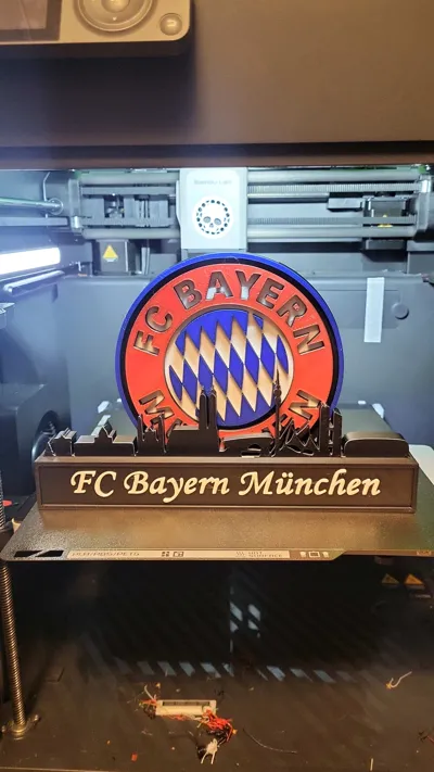 https://makerworld.bblmw.com/makerworld/comment/20260225/3116240527/e5ddbf005eab224f.jpg