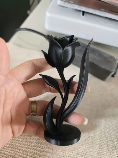 https://makerworld.bblmw.com/makerworld/comment/20260225/3194306524/60f109821fa655bf.jpg