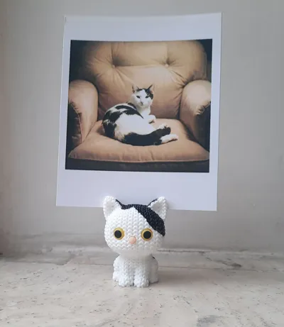 https://makerworld.bblmw.com/makerworld/comment/20260225/3494739070/83c7081eebc91aa5.jpg