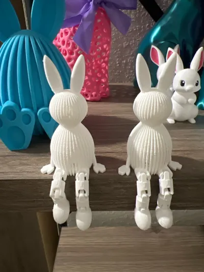 https://makerworld.bblmw.com/makerworld/comment/20260225/3601316504/0681563037cdbc64.jpg