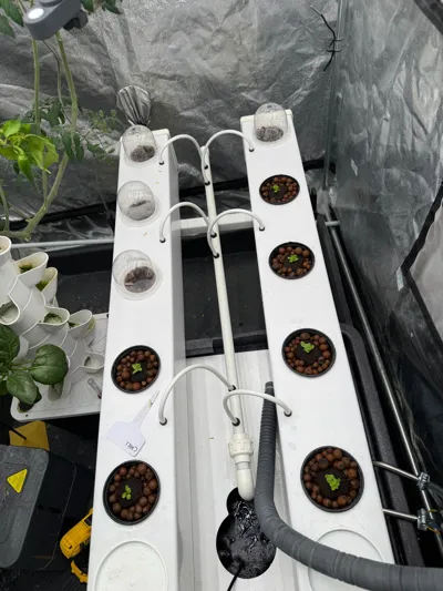 https://makerworld.bblmw.com/makerworld/comment/20260225/3770362833/6ac89bfe6dc082b6.jpg