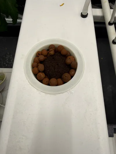 https://makerworld.bblmw.com/makerworld/comment/20260225/3770362833/995988b447916b4d.jpg