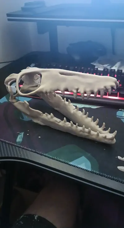 https://makerworld.bblmw.com/makerworld/comment/20260225/422798369/0031afe4c805da41.jpg