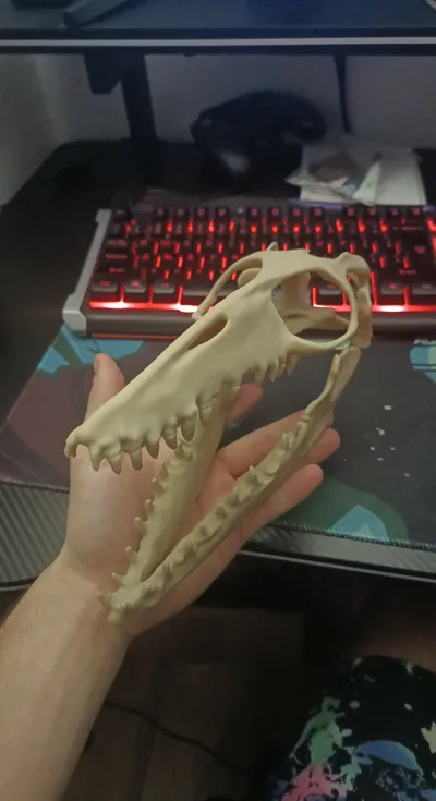 https://makerworld.bblmw.com/makerworld/comment/20260225/422798369/d532121229f94f80.jpg