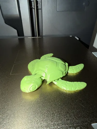 https://makerworld.bblmw.com/makerworld/comment/20260225/758121277/cfd149603b636ec5.jpg