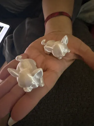https://makerworld.bblmw.com/makerworld/comment/20260225/809969551/50a1528d00e4e854.jpg
