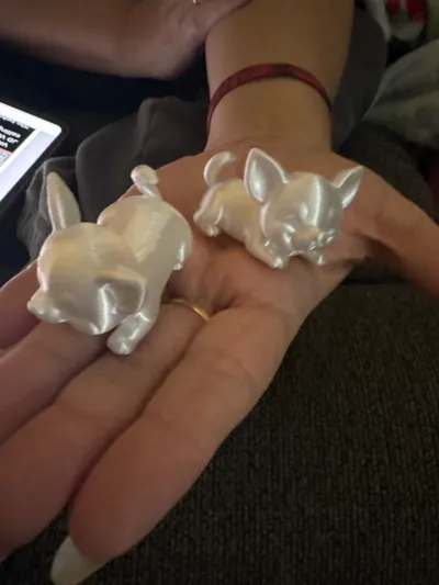 https://makerworld.bblmw.com/makerworld/comment/20260225/809969551/c8b6a2aff1770a8c.jpg