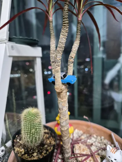 https://makerworld.bblmw.com/makerworld/comment/20260226/1001866864/a7cec36b0c65bf6a.jpg