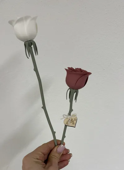https://makerworld.bblmw.com/makerworld/comment/20260226/1188940058/e4cbeae297c3dc3f.jpg