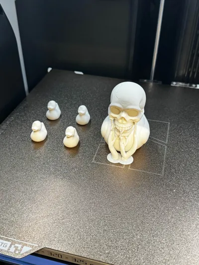 https://makerworld.bblmw.com/makerworld/comment/20260226/1224865015/22f028c23ba00006.jpg