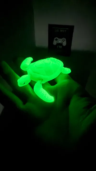 https://makerworld.bblmw.com/makerworld/comment/20260226/179213965/ca13c177d73ed115.jpg