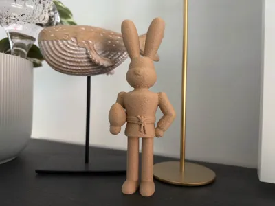 https://makerworld.bblmw.com/makerworld/comment/20260226/1933996043/df4086d0e8cecbaa.jpg