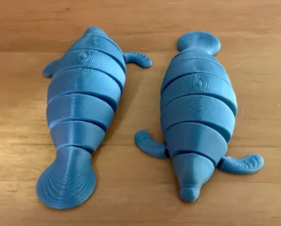 https://makerworld.bblmw.com/makerworld/comment/20260226/2011039981/36eedf9949676e41.jpg
