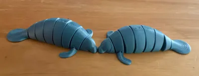 https://makerworld.bblmw.com/makerworld/comment/20260226/2011039981/d5ccc7f2c4f9bd02.jpg