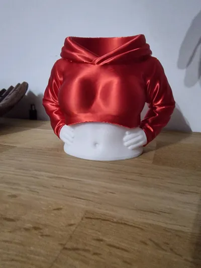 https://makerworld.bblmw.com/makerworld/comment/20260226/2084269873/aa3168e4ec2f2a20.jpg