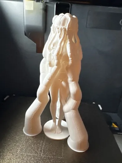 https://makerworld.bblmw.com/makerworld/comment/20260226/2173181066/99bbdacf062fd891.jpg
