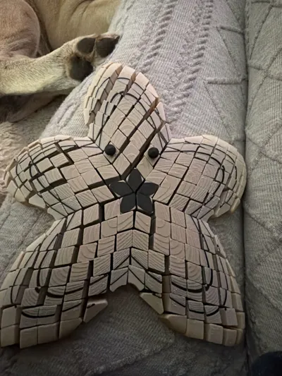 https://makerworld.bblmw.com/makerworld/comment/20260226/254665319/70887e91766778d5.jpg