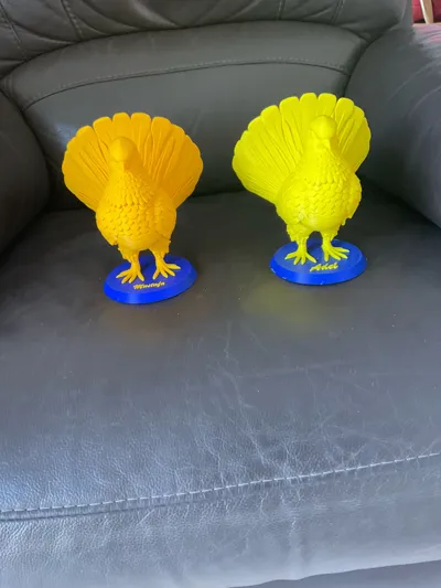 https://makerworld.bblmw.com/makerworld/comment/20260226/2802533536/349f487e7c10d3f9.jpg