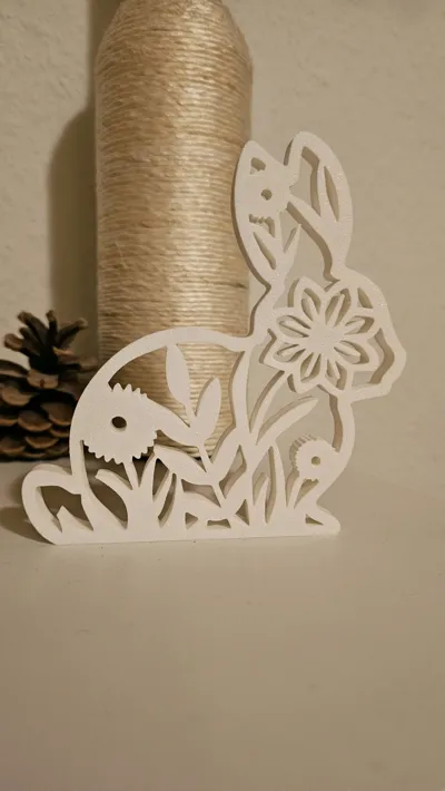 https://makerworld.bblmw.com/makerworld/comment/20260226/2839541256/70f80f3e71a11b1e.jpg