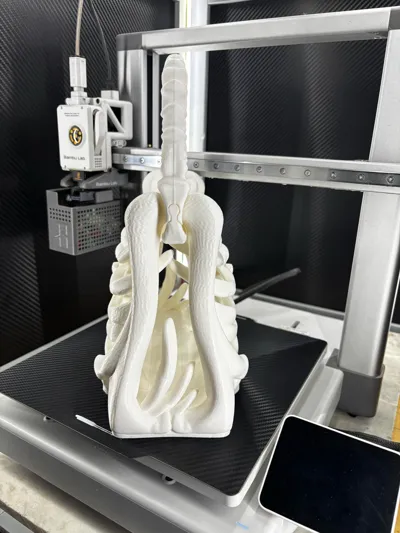 https://makerworld.bblmw.com/makerworld/comment/20260226/2918967352/14f6250378794c80.jpg
