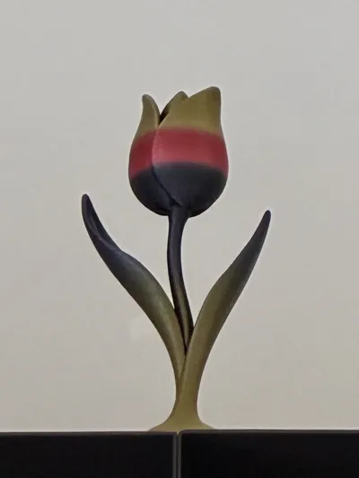 https://makerworld.bblmw.com/makerworld/comment/20260226/2927184403/361e594289092a5d.jpg
